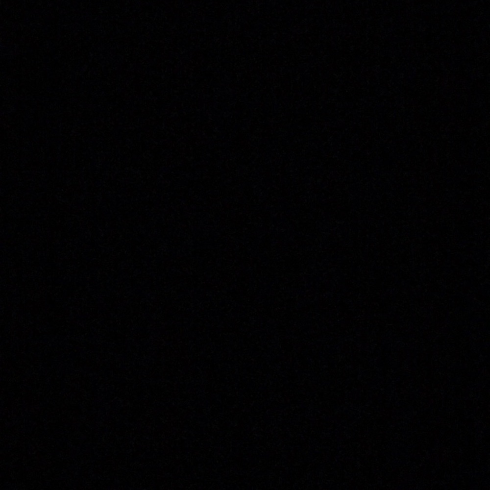 Meet your Posher, Ann